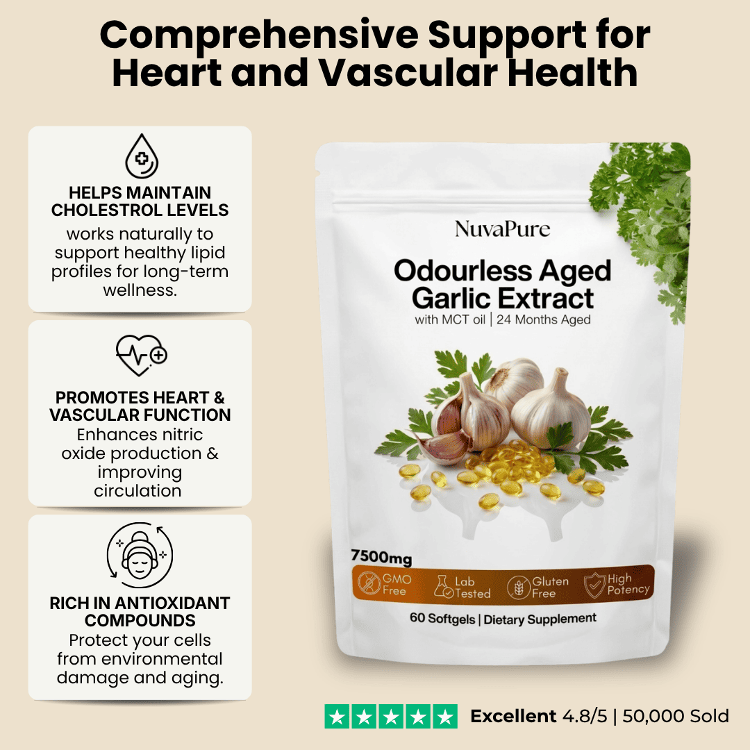24-Month Aged Garlic Extract | Heart & Cholesterol Support Softgels