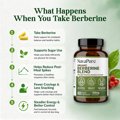 Berberine 4-in-1 Blend | Cellular Energy & Metabolism Support