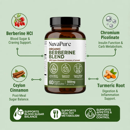 Berberine 4-in-1 Blend | Cellular Energy & Metabolism Support