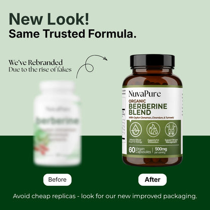 Berberine 4-in-1 Blend | Cellular Energy & Metabolism Support