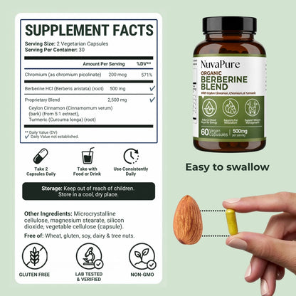 Berberine 4-in-1 Blend | Cellular Energy & Metabolism Support